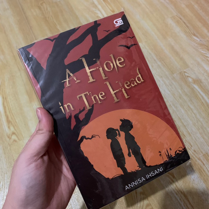 Jual A Hole In The Head Annisa Ihsani Preloved Bekas Novel Buku Original Shopee Indonesia 