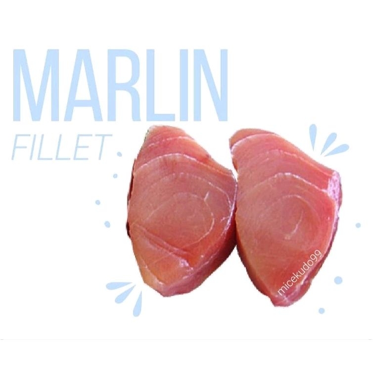 Jual IKAN MARLIN FILLET SEGAR MARLIN FISH STEAK FRESH BUKAN FROZEN