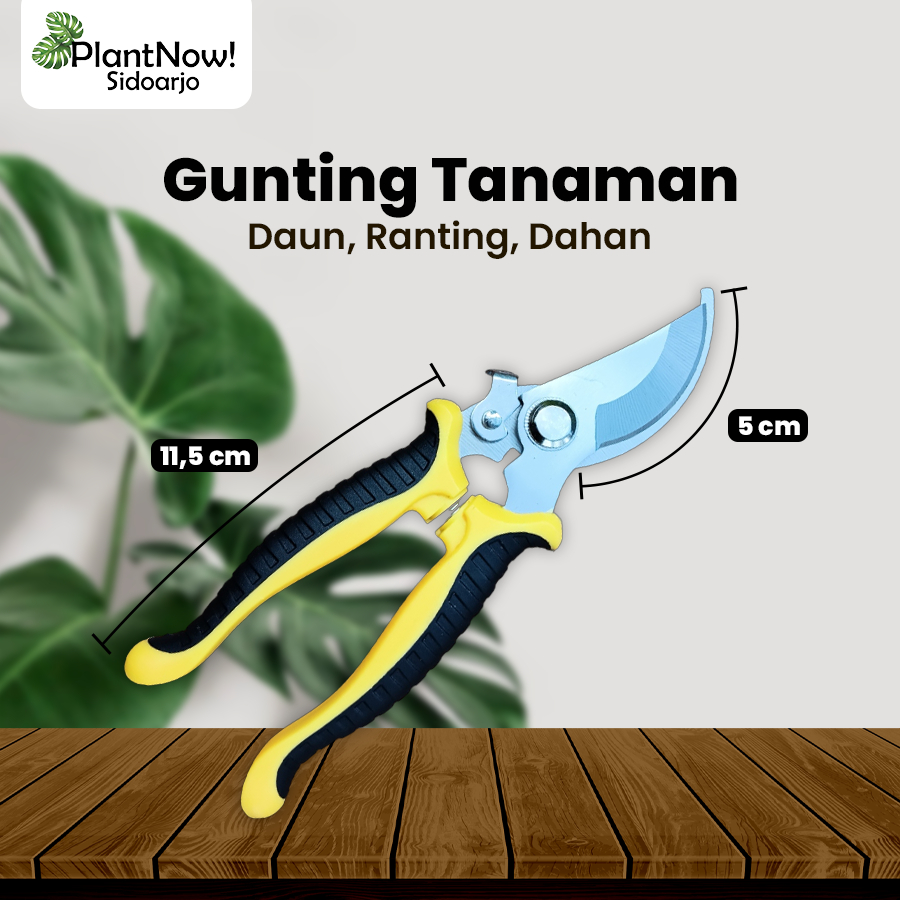 Jual Gunting Tanaman Daun Ranting Dahan Alat Berkebun DUA WARNA ...