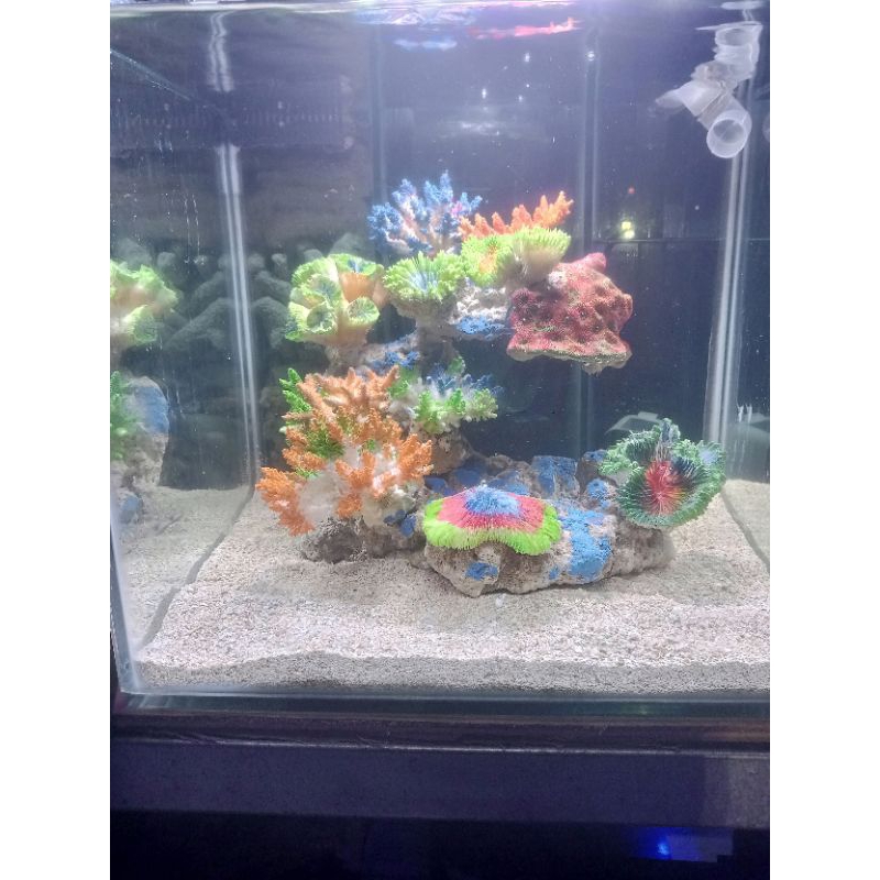 Jual Aquarium laut fullset 30x35x30 (fake coral) Shopee Indonesia