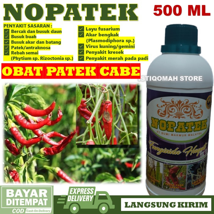 Jual Obat Patek Cabe Nopatek Ml Fungisida Hayati Obat Semprot Hama Patek Pada Tanaman Cabe