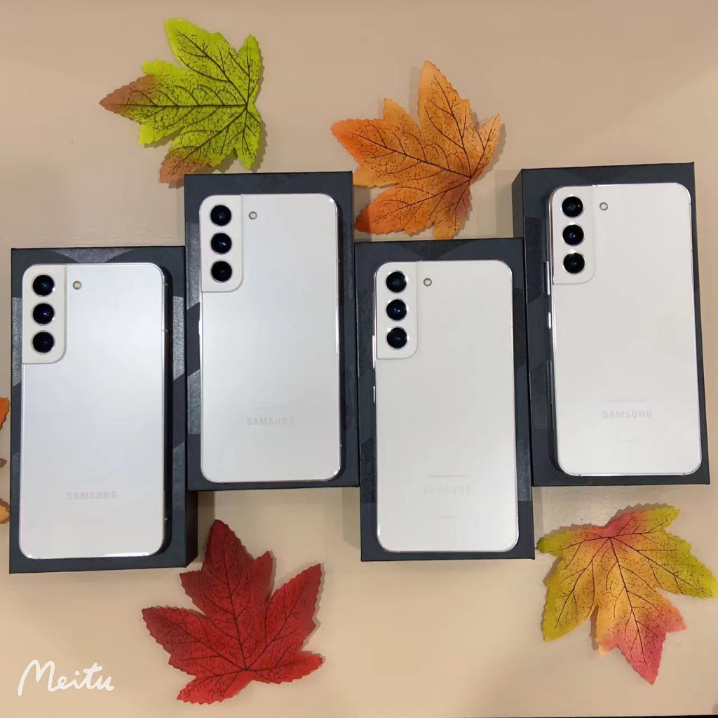 Samsung S22 Hlle Original