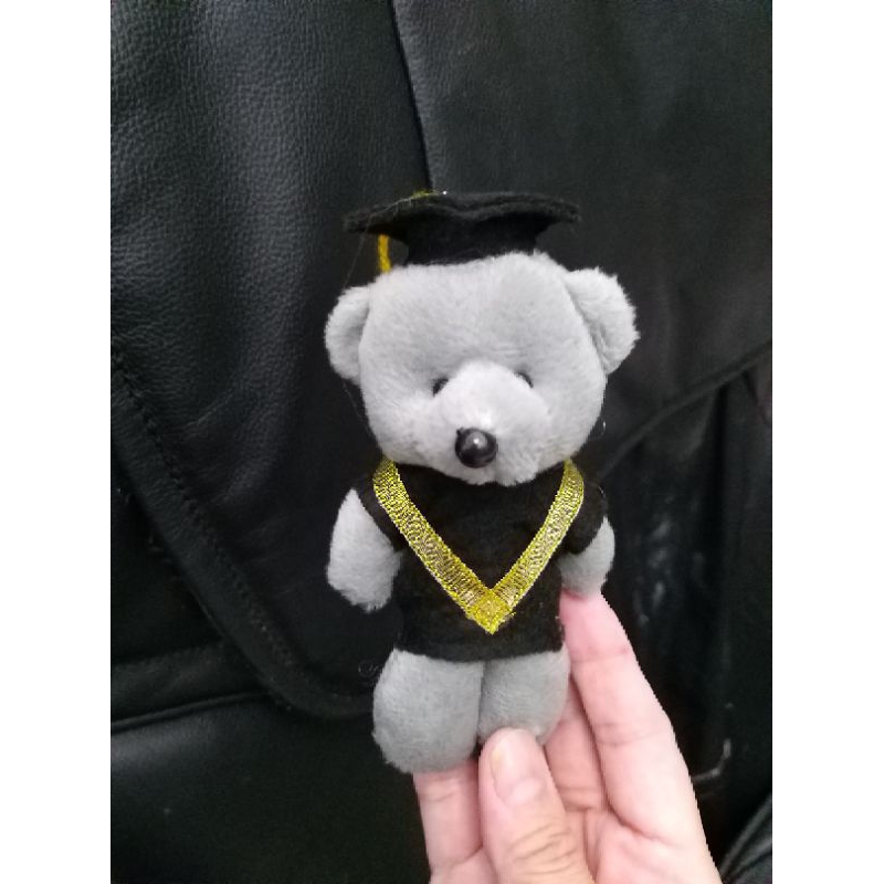 Jual boneka wisuda/boneka teddy wisuda/graduation bear/graduation teddy ...