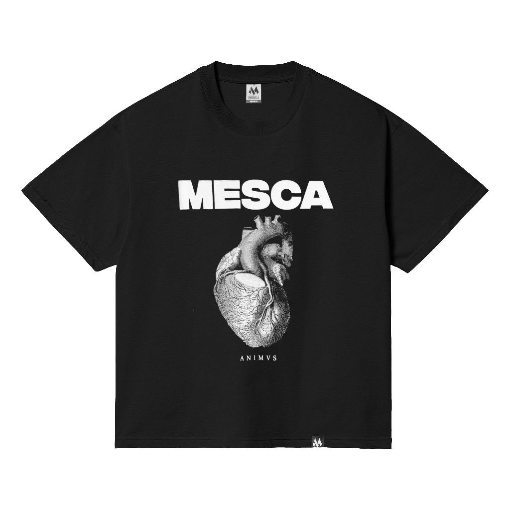 Jual Mesca Universe - 