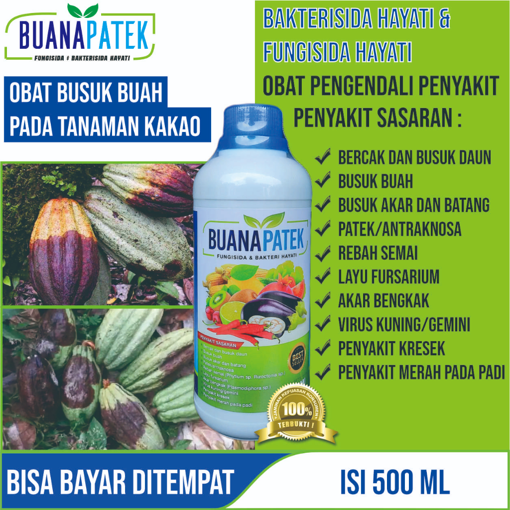 Jual Obat Busuk Buah Pada Kakao Paling Bagus Pupuk Semprot Pelebat