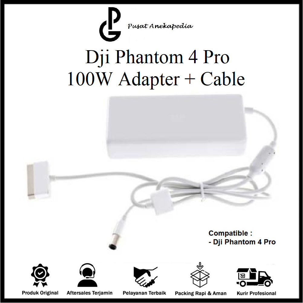 Cavo Di Alimentazione AC Originale DJI Phantom 4 – 100W – Spina NA – Nuovo
