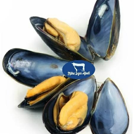 Jual Black Mussel / Kerang Hitam @1KG | Shopee Indonesia