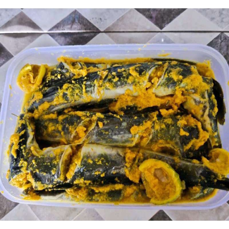 Jual Ikan Lele Bumbu Kuning Fresh Siap Goreng | Shopee Indonesia