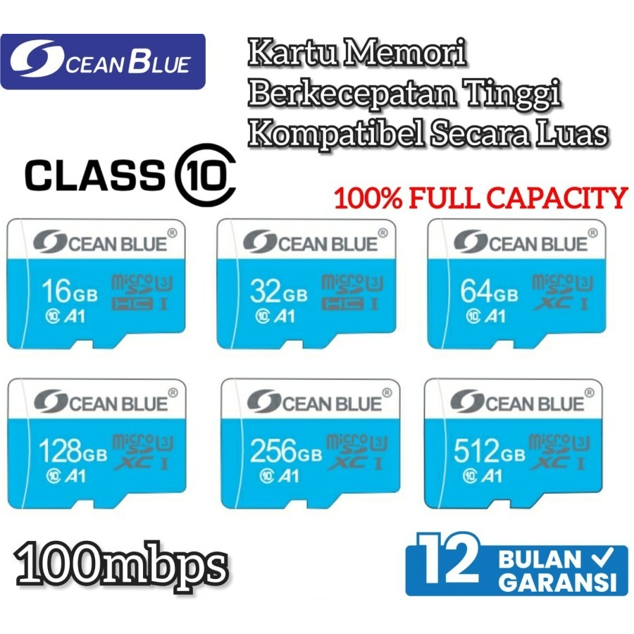 Jual Memory Card Hp Micro SD Oceanblue Class 10 U3 Kapasitas 128 256 512 GB 100MB/s TF MMC