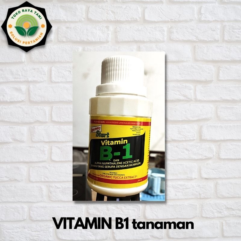 Jual LIQUINOX Start Vitamin B1 Tanaman 100ml Perangsang Akar | Shopee ...