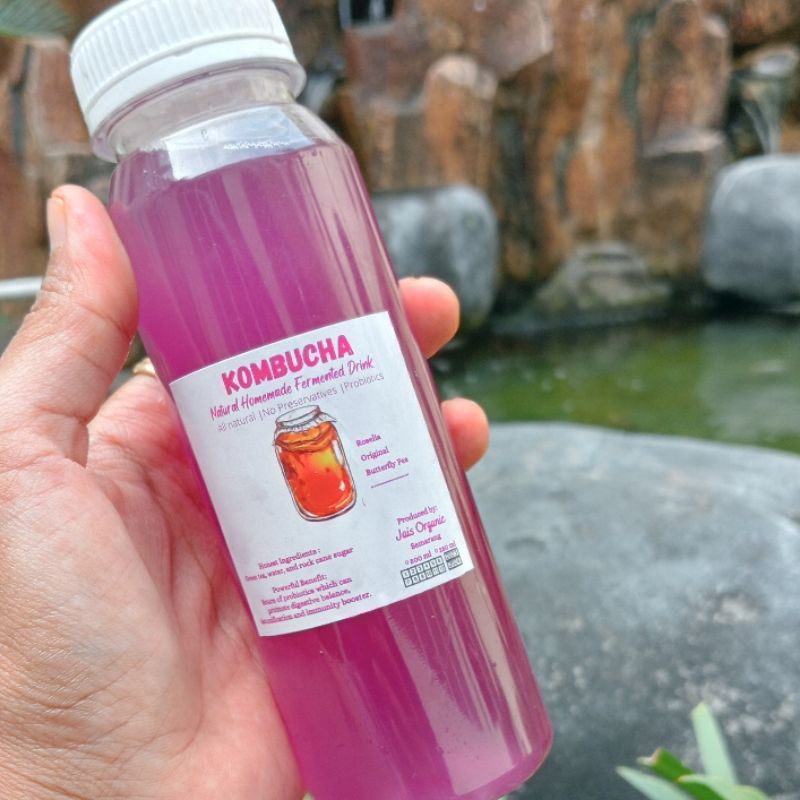 Jual KOMBUCHA BUTTERFLY PEA 250 ML Shopee Indonesia