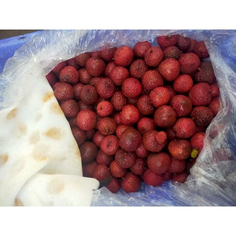 Jual Buah Leci Lychee Lychee Buah Leci Merah Shopee Indonesia 0723