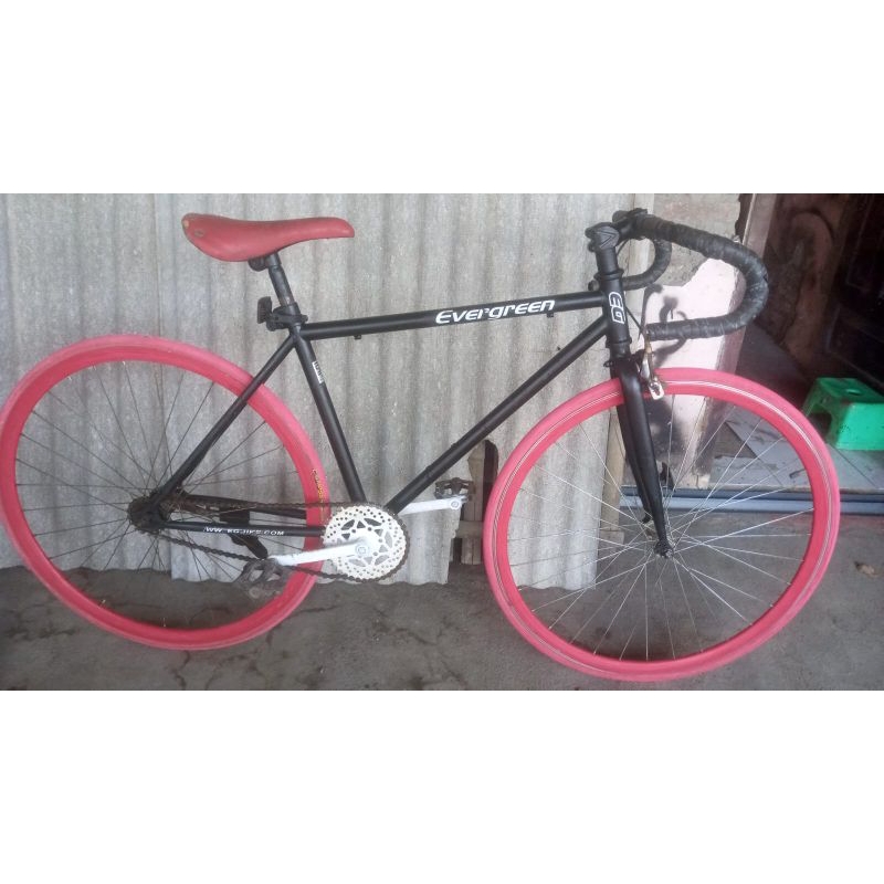 fixie evergreen