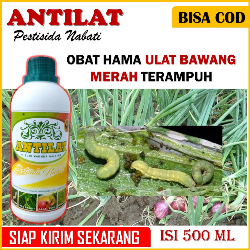 Jual Promo Murah Pestisida Nabati Antilat 500 Ml Obat Hama Ulat