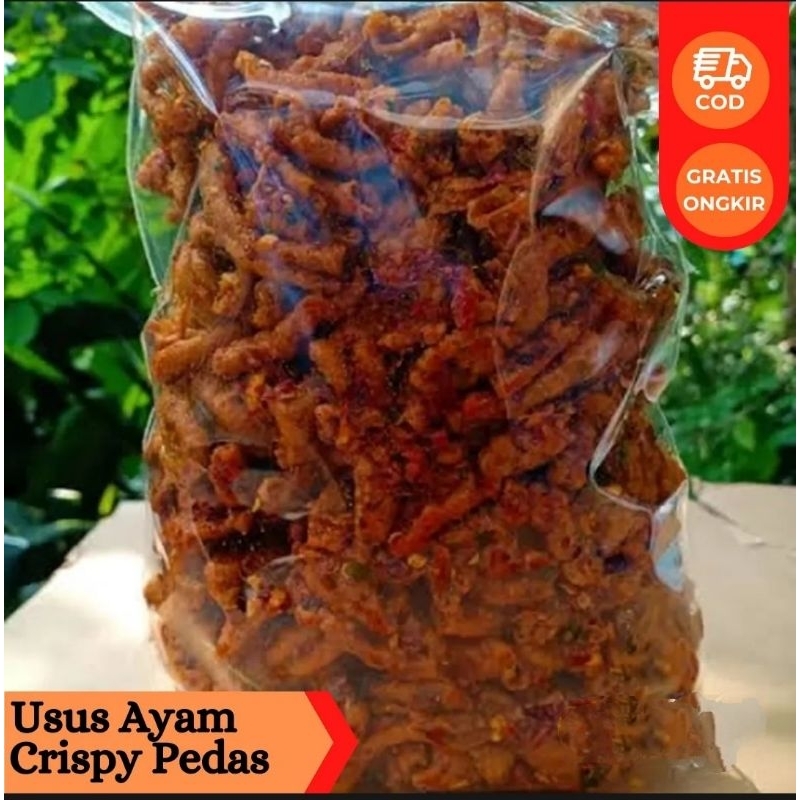 Jual Keripik Usus Ayam Crispy Daun Jeruk Pedas 1kg Shopee Indonesia