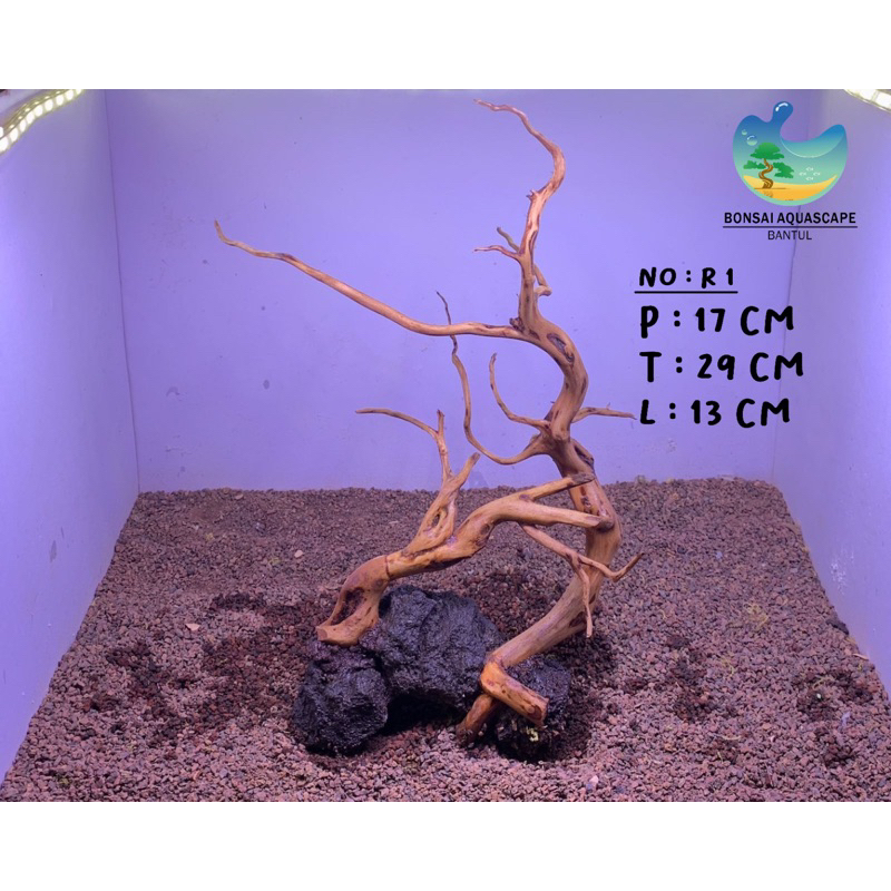 Jual Hardscape Akar Rasamala | Shopee Indonesia