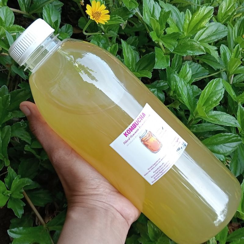 Jual Kombucha Green Tea 1 Liter Minuman Fermentasi Teh Alami 1l Shopee Indonesia 2250