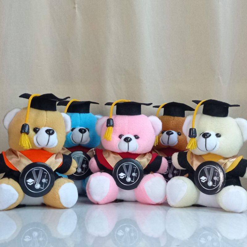 Jual MR.TEDDANDFRIEND Boneka Wisuda Murah Polosan Tanpa Custom Logo dan ...