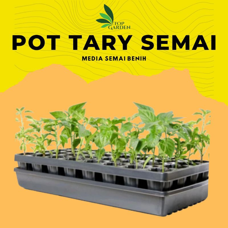 TRAY SEMAI MEDIA SEMAI BENIH SAYURAN BUNGA MUDAH DAN PRAKTIS