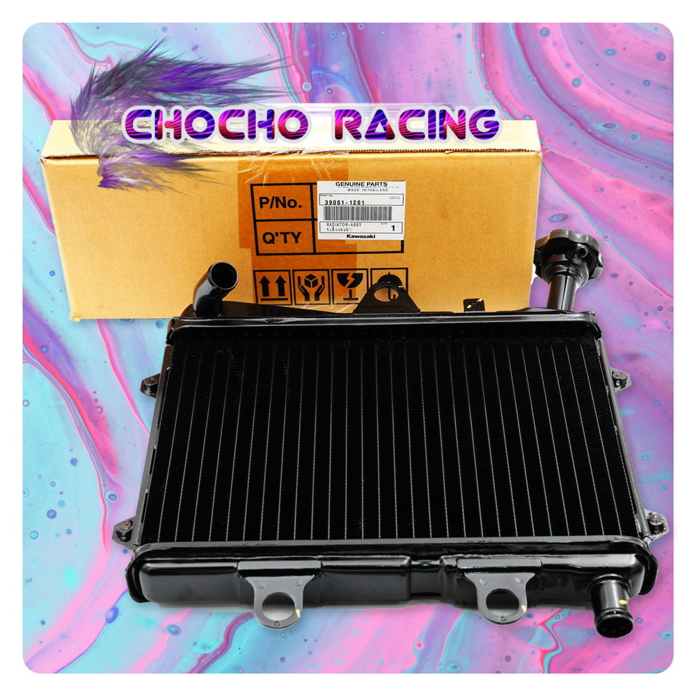 Jual RADIATOR STANDAR STD NINJA 150 RR OLD NEW ZX CBU BUILT UP ORIGINAL ...