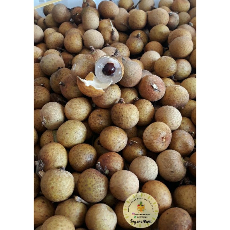 Jual Buah Lengkeng Thailand Gold Manis 500 Gram & 1000 Gram (1 Kg ...