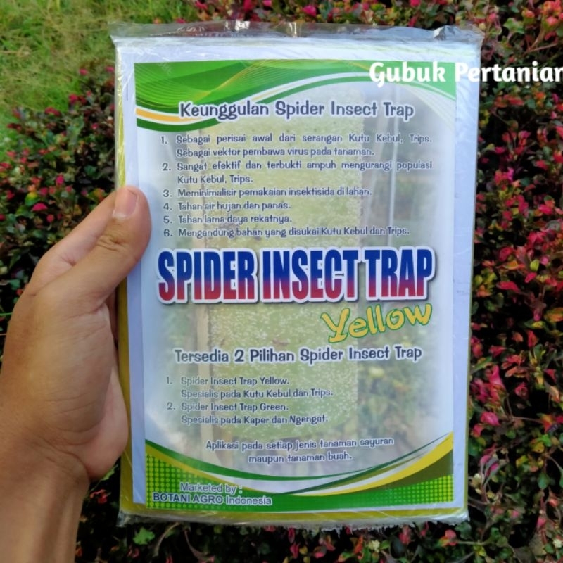 Jual SPIDER INSECT TRAP Yellow Perekat Atau Perangkap Hama Tanaman Isi ...