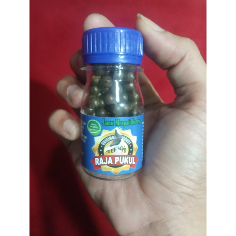 Jual RAJA PUKUL ISI 100 BUTIR jamu merpati tinggi pukul jamu liur walet ...