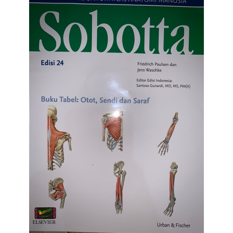 Jual [ORIGINAL] Buku Anatomi Sobotta Edisi 24 | Shopee Indonesia