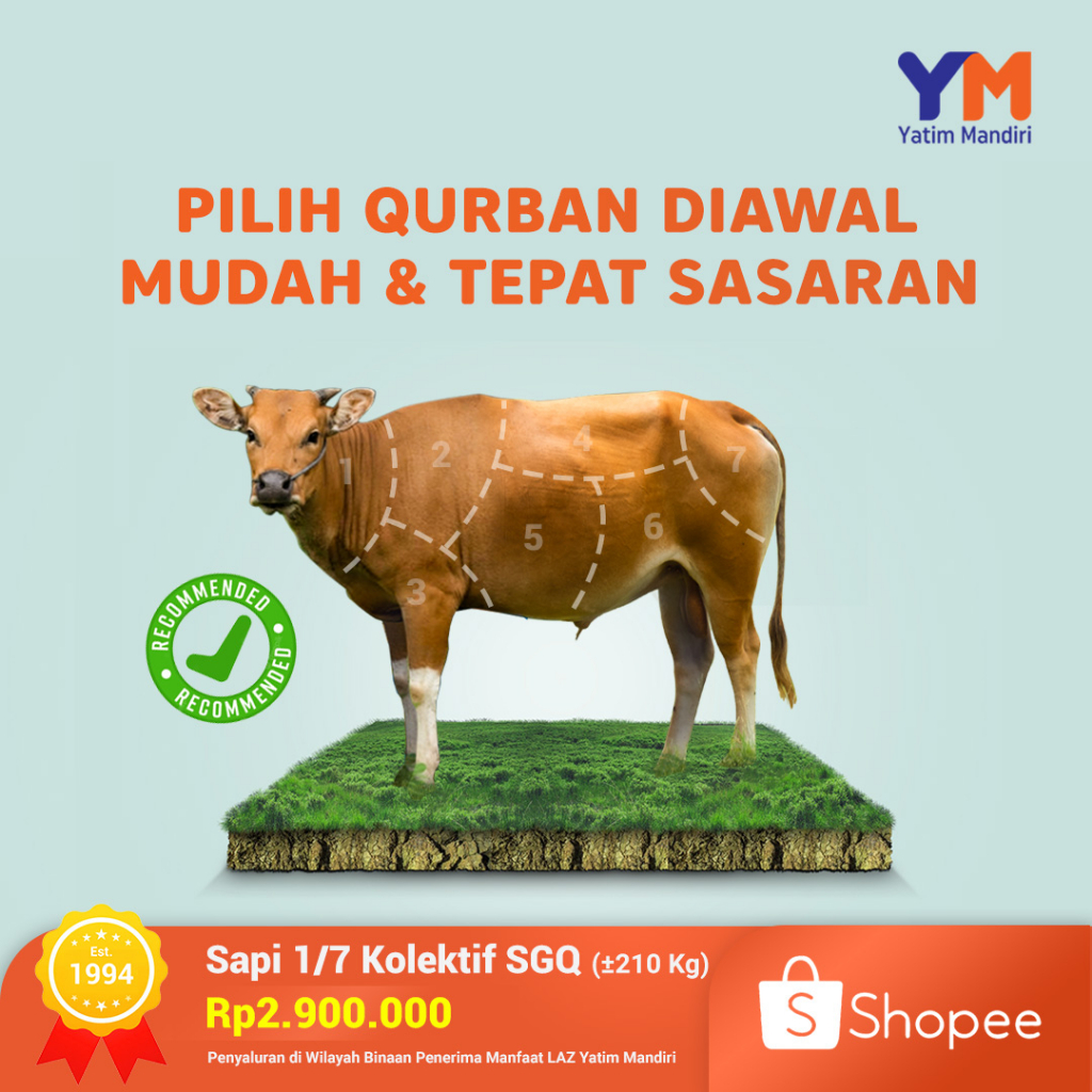 Jual Yatim Mandiri - Qurban Sapi 1/7 Super Gizi Qurban | Shopee Indonesia