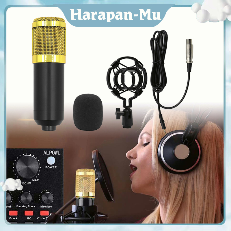 Jual Microphone Mikrofon Kondenser Studio Bm 800 Recording Bm 800 ...