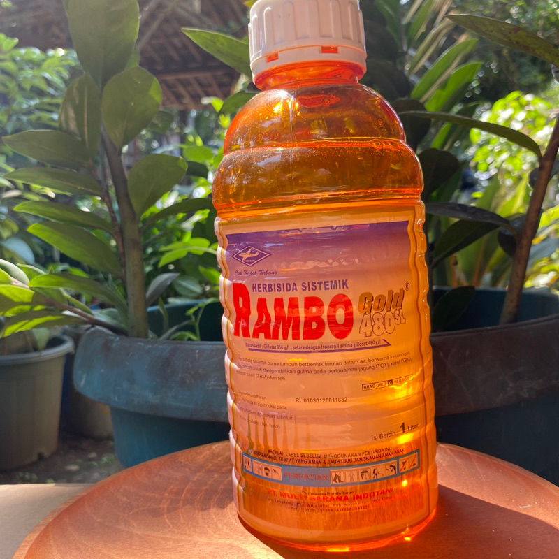 Jual RAMBO GOLD 480 SL 1 LITER HERBISIDA PEMBASMI RUMPUT | Shopee Indonesia