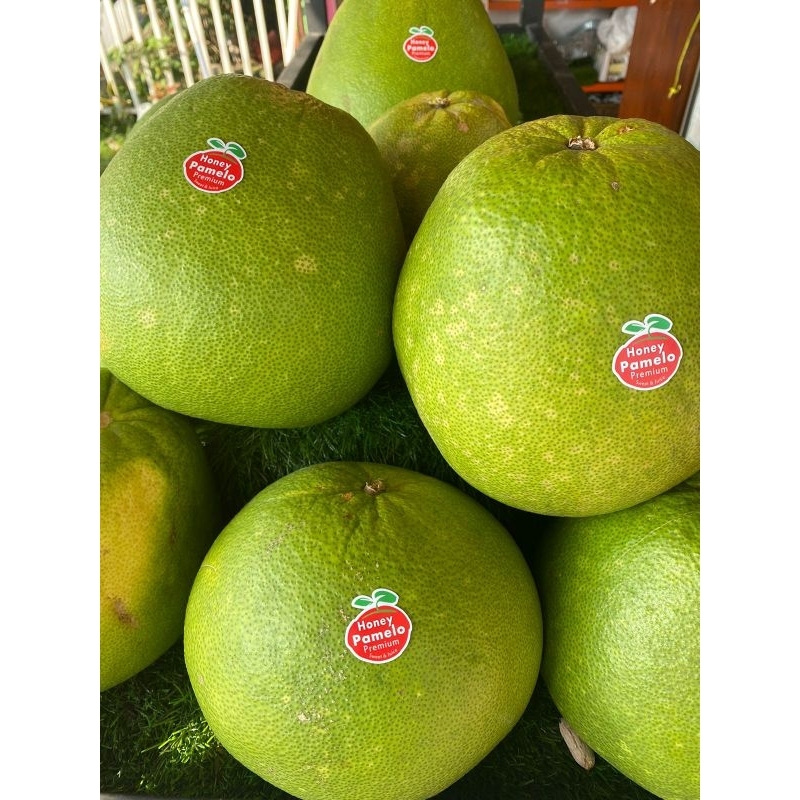 Jual jeruk balihoney pomelopomelo madubuah jeruknuri fruitsbuah