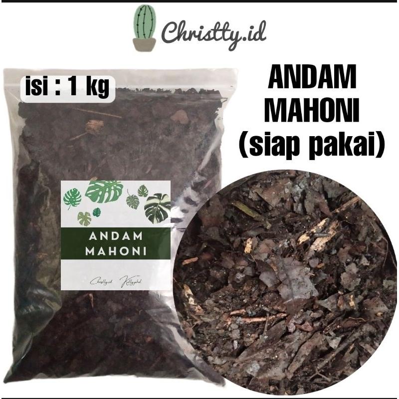 Jual Media Tanam Andam Mahoni / Humus Daun / Humus Hutan / Media Tanam ...