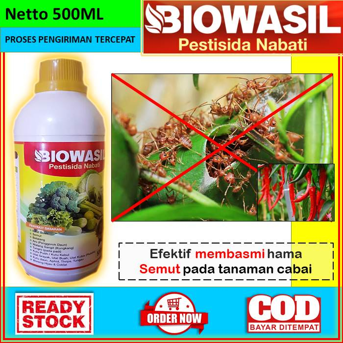 Jual OBAT ANTI HAMA SEMUT UNTUK TANAMAN CABAI [BIOWASIL] Obat Cair