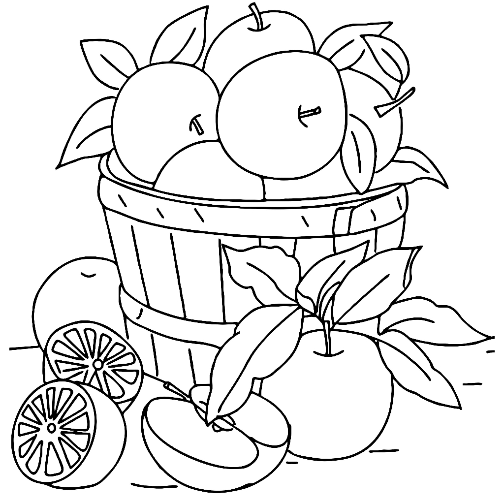 Jual Gambar Sketsa Mewarnai ~ BUAH DAN SAYUR / Seketsa Lukis / Drawing