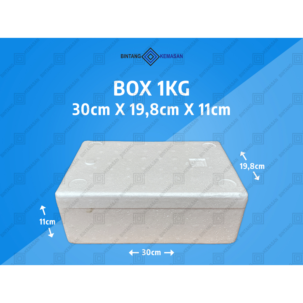 Jual Styrofoam Box 1Kg 30 x 19,8 x 11cm/Box Ikan/Box Foam/Box Packing