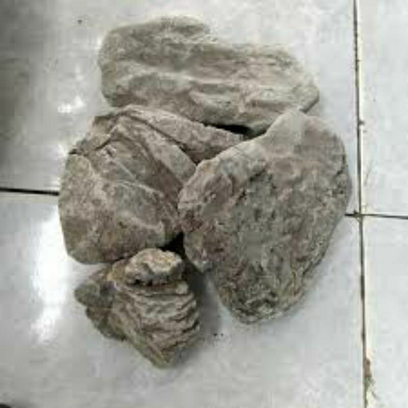 Jual BATU TURLI BATU AQUASCAPE TURLY STONE BATU HIAS AQUARIUM KOLAM ...