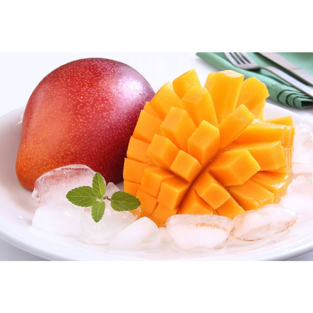 Jual Bibit Mangga Miyazaki / Mangga Merah Jepang (1 METER BATANG BESAR ...