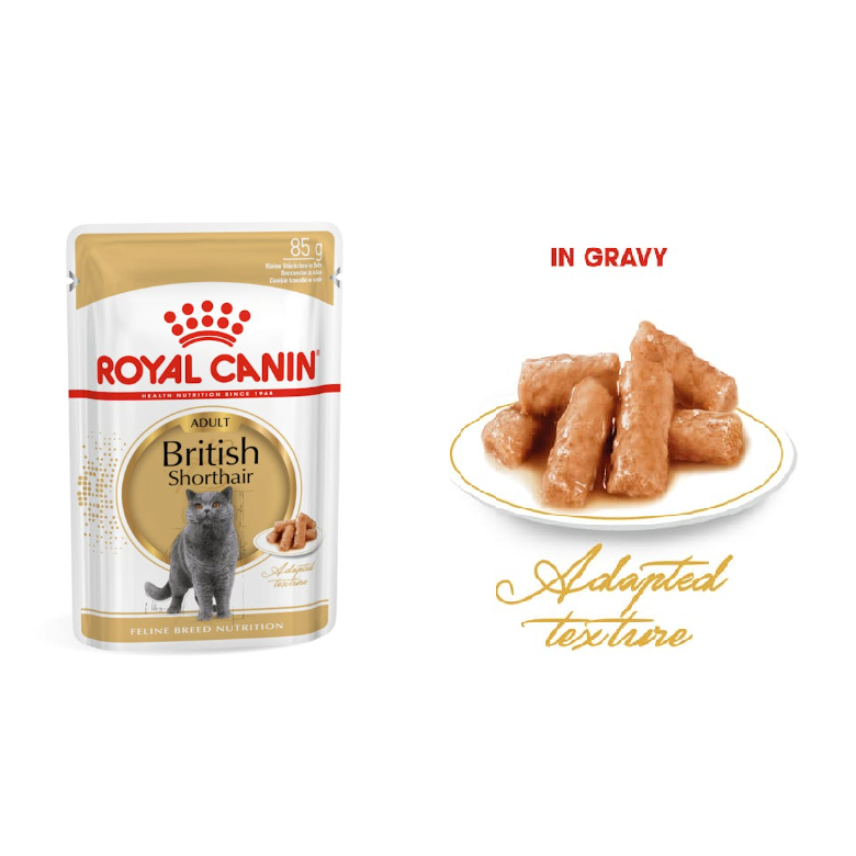 British shorthair wet food sales