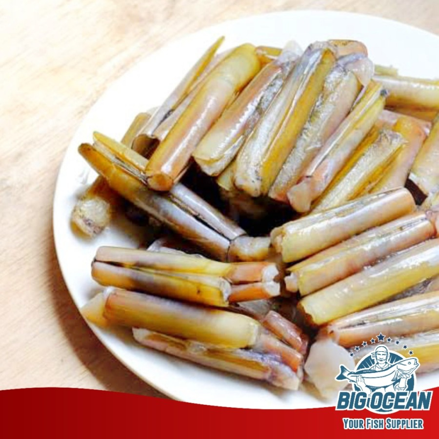 Jual Kerang Bambu Pilihan Frozen 500gr Shopee Indonesia