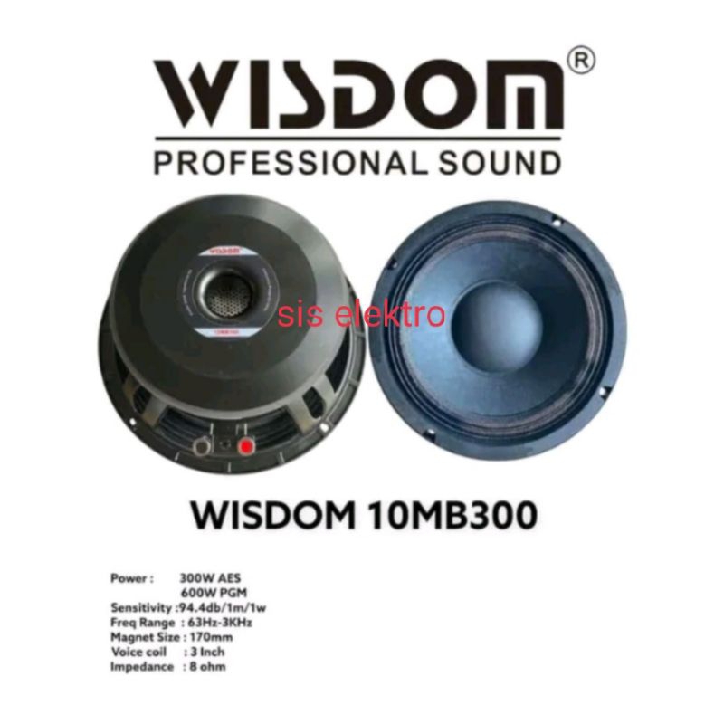 Speaker wisdom sales 10 inch