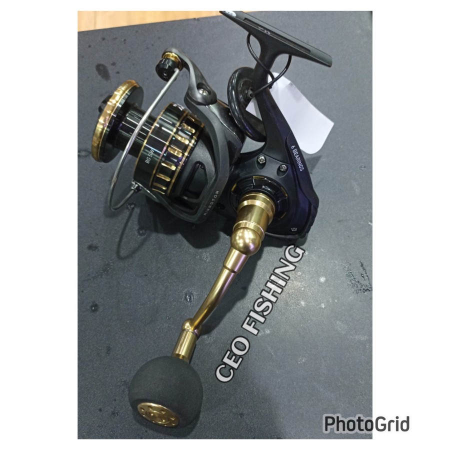 Daiwa bg 2024 8000 sw