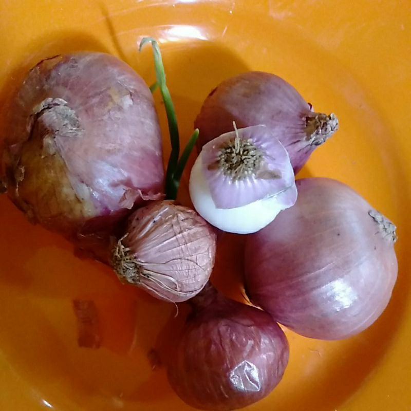 Jual Bawang Merah India Kg Shopee Indonesia