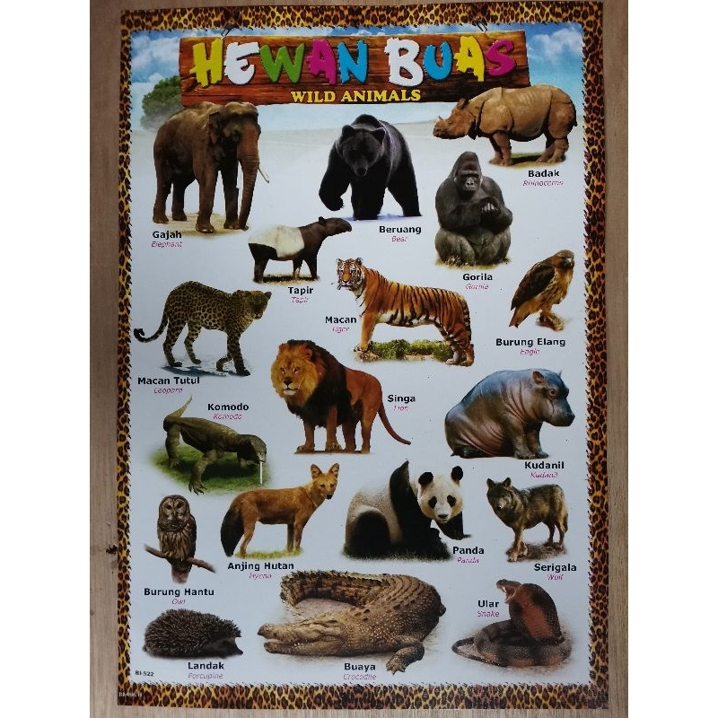 Jual Poster Edukasi Anak / Hewan Buas / Hewan Jinak / Karnivora