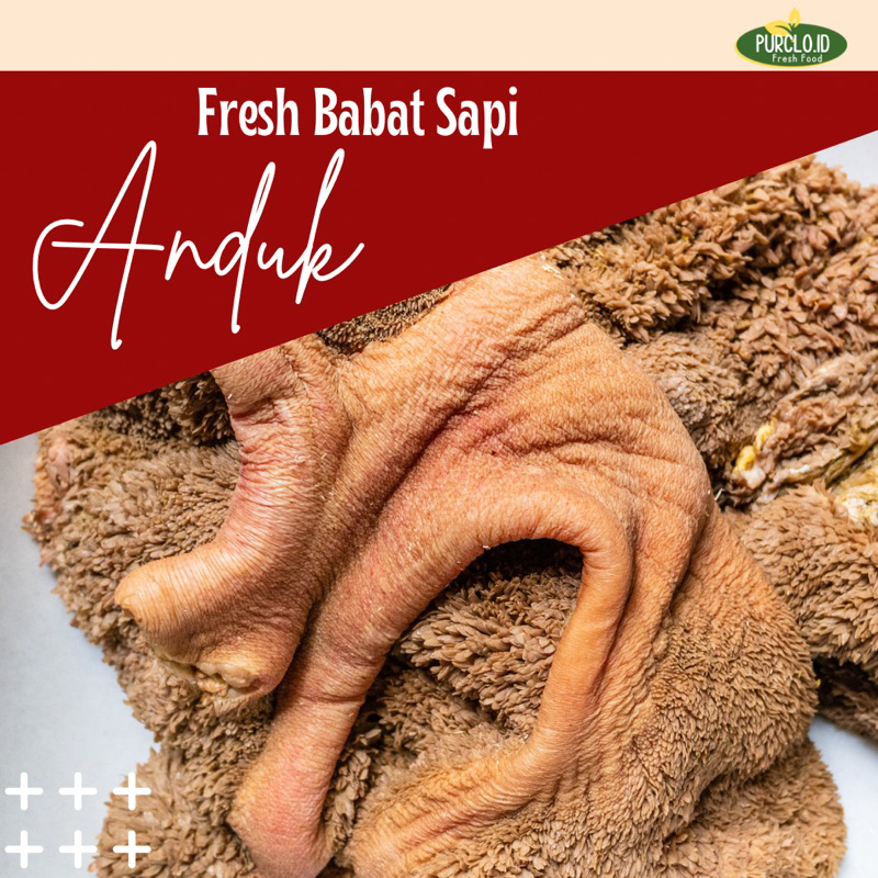 Jual babat raweuy / paru sapi / babat handuk segar fresh bandung ...