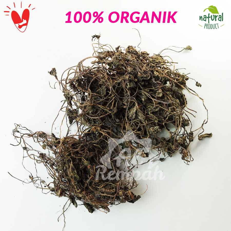 Jual Daun Pegagan Atau Antanan Kering Gr Organik Shopee Indonesia