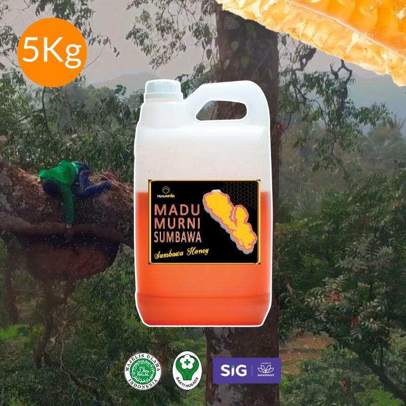 Jual Madu Asli Hutan Murni (Grosir) Free sampel 80ml | Shopee Indonesia