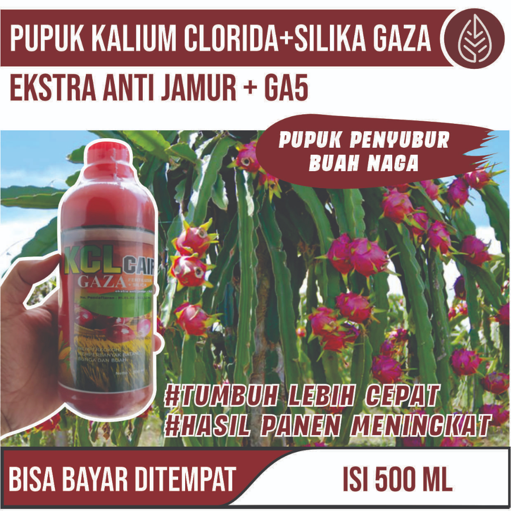 Jual Promo Murah Kcl Gaza Fertilizer Pupuk Organik Pelebat Buah Naga