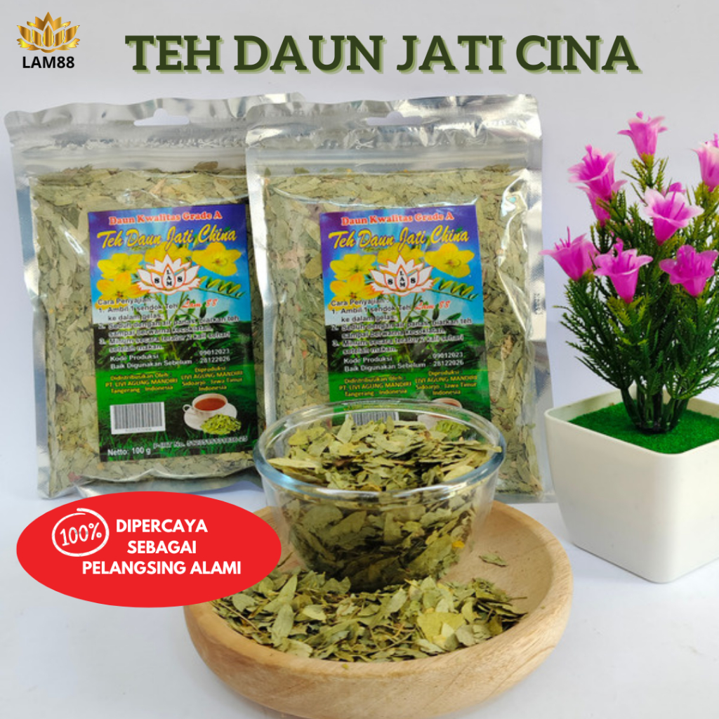 TEH DAUN JATI CINA || PELANGSING ALAMI || HIGH QUALITY 100GRAM