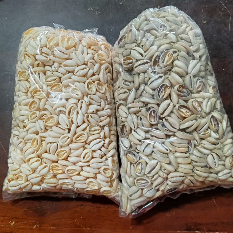Jual Kerang Terlengkap & Harga Terbaru Juli 2026 | Shopee Indonesia
